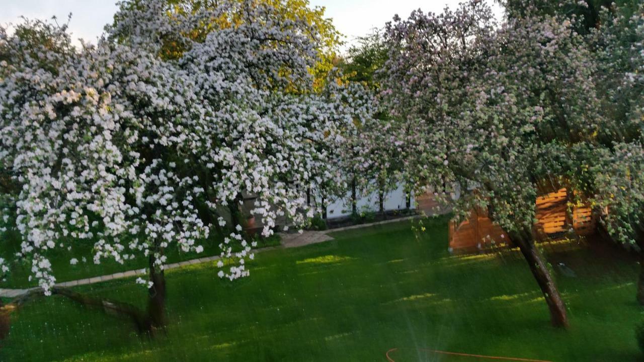 Ferienhaus Gregor Birkenwerder Екстер'єр фото